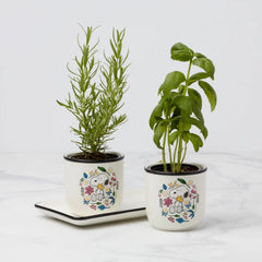 Chef Snoopy Herb Pots, Set Of 3