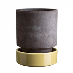 Hoff Raw Grey & Glazed Pale Yellow 14cm Pot with Saucer