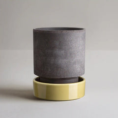 Hoff Raw Grey & Glazed Pale Yellow 14cm Pot with Saucer