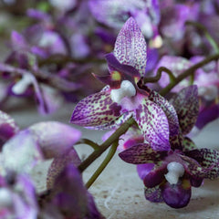 Artificial Oncidium Orchid Stem