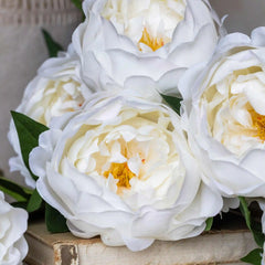 Artificial Real Touch White Peony Stem