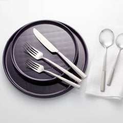 Modulus Nightshade 12-Piece Dinnerware Set