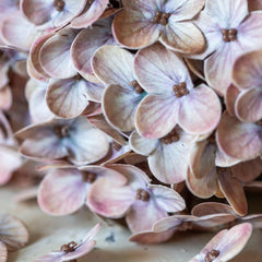 Artificial Real Touch Antique Blush Hydrangea Stem